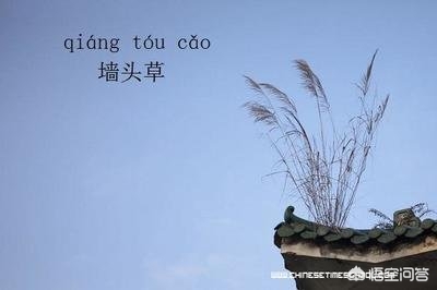 巴基斯坦总理表态,怎么看待巴基斯坦总理在联合国大会上声称,后悔与美国结盟呢? 巴基斯坦总理表态,怎么看待巴基斯坦总理在联合国大会上声称,后悔与美国结盟呢?