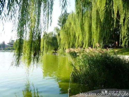 无人化作战时代到来,无人化作战时代到来 这支新型部队可能改变未来战场