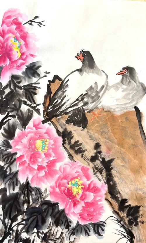 和平鸽是咋找回家的,和平鸽是咋找回家的呢