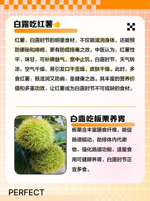 白露必吃的6种食物,白露之后吃什么食物好?