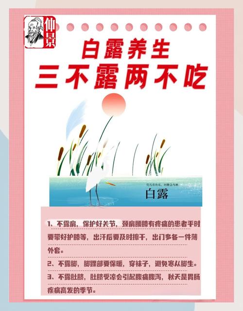 白露必吃的6种食物,白露吃什么食物?