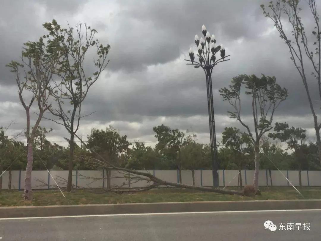 气象台台风黄色预警,台风橙色预警是什么级别？