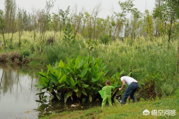 冲浪遭鲨鱼袭击身亡,冲浪遭鲨鱼袭击身亡视频