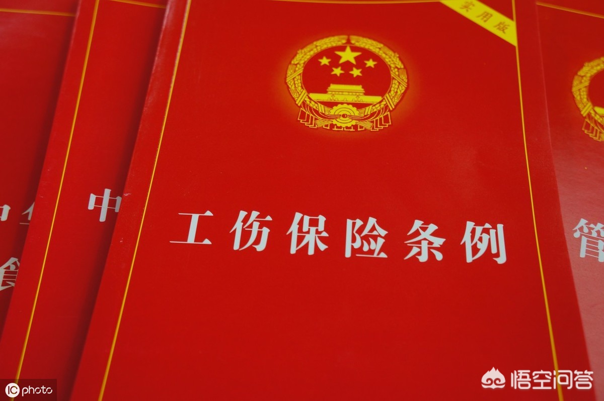 小狗被困宠物店死亡,小狗被困宠物店死亡案例