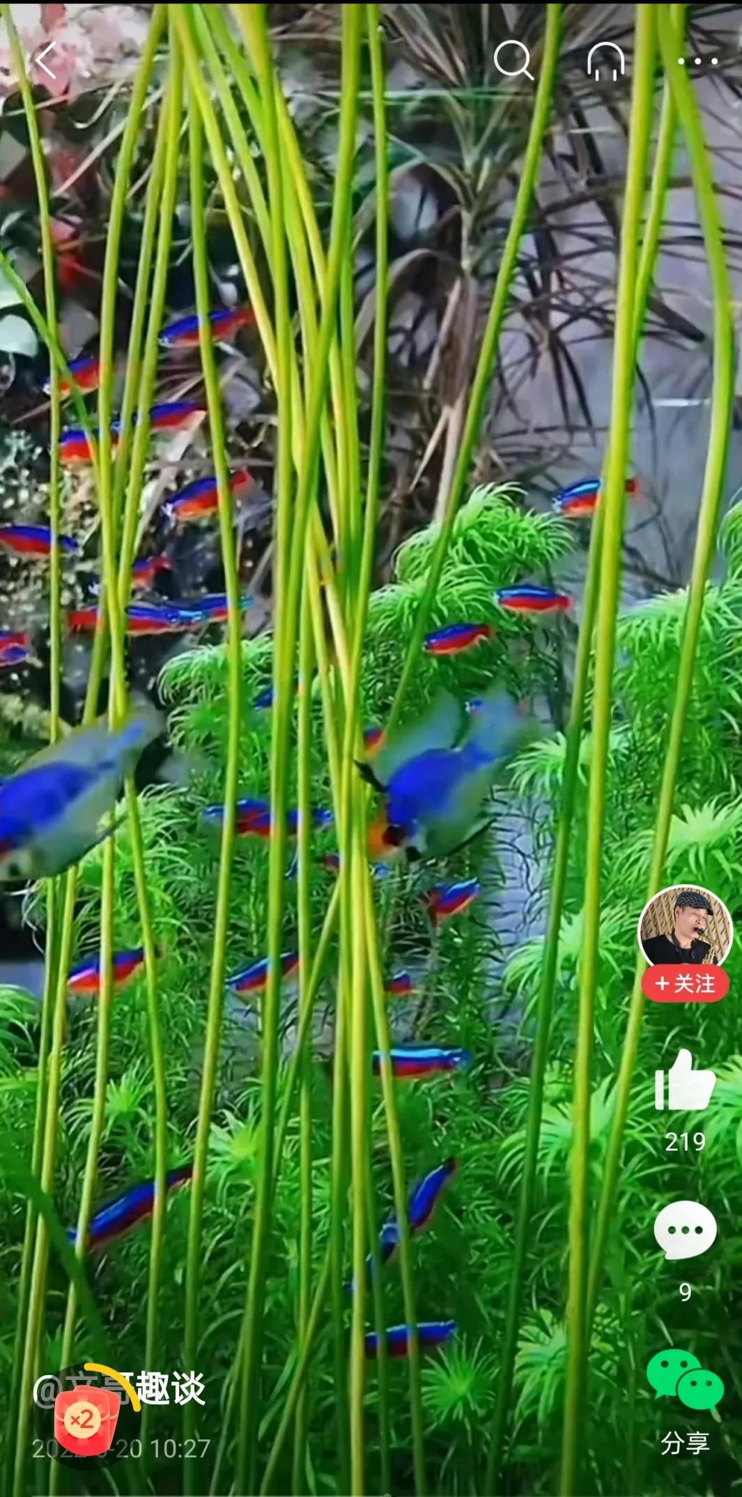 2元买彩票中1000万,整天想着买2元彩票中个1000万大奖的都是一些什么人？