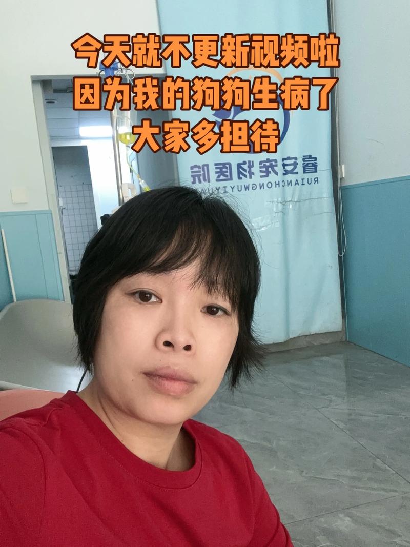 小狗被困宠物店死亡,狗狗在宠物店寄养期间,狗主人隐瞒狗狗有病狗狗死亡,责任谁担?