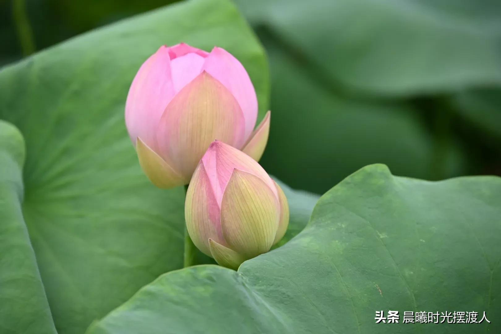 婚姻登记中心进复旦,女儿男朋友复旦大学毕业，但来自农村没车没房，我该同意他们吗？