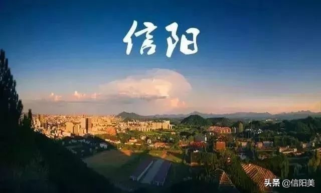 信阳3人被醉驾撞亡,信阳3人被醉驾撞亡事件