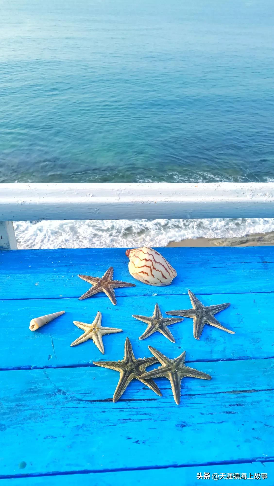 服务区餐厅有老鼠,餐厅出现老鼠、而有几桌客人在吃饭、作为餐饮人员应该如何处理? 服务区餐厅有老鼠,餐厅出现老鼠、而有几桌客人在吃饭、作为餐饮人员应该如何处理?