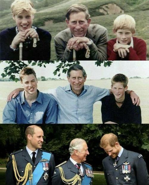 哈里王子与父亲相聚,哈里波特的爸爸叫什么名字?