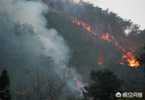 接30位烈士遗骸回国,四川山火30名失联者遗体全找到，为什么在危险来临前逃不了？