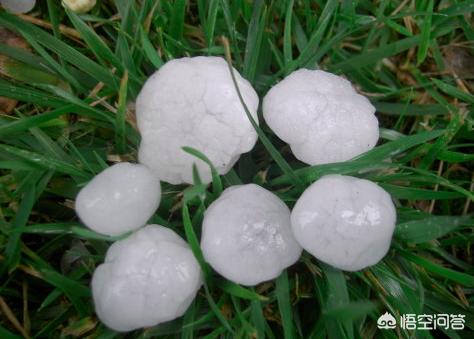 北京山区有小冰雹,北京顺义石门有冰雹吗？