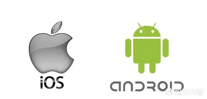 苹果人安卓人火了,安卓是哪一年开始风靡全国的？