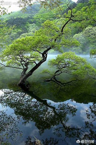 2人钓鱼溺水身亡,撒网捕鱼、河边垂钓,惠州两名中年男子不幸溺亡, 你怎么看? 2人钓鱼溺水身亡,撒网捕鱼、河边垂钓,惠州两名中年男子不幸溺亡, 你怎么看?