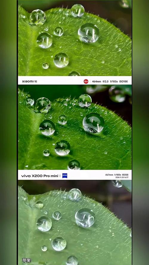 小米16改名小米17,17年的小米手机,对比16年的vivo手机哪个好?