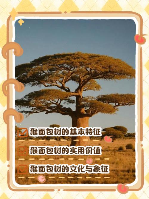 男子种猴面包树18年,男子种猴面包树18年有两棵达结果要求