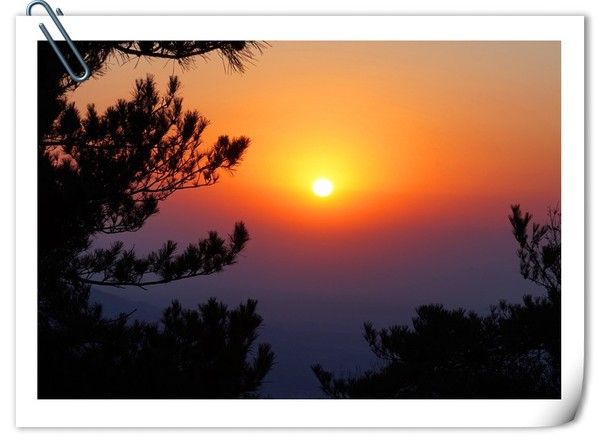 秦始皇石刻鉴定为真,《泰山》海拔及占地面积分别是?谢谢? 秦始皇石刻鉴定为真,《泰山》海拔及占地面积分别是?谢谢?