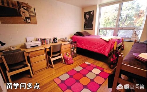 男留学生住女生宿舍,求一部小说，多年前看过的一部小说，讲述女主出国留学，借宿在男主宿舍，男主已婚？