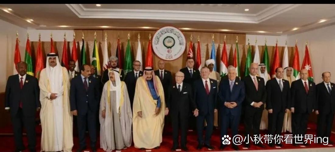 阿拉伯国家集体出手,阿拉伯组织