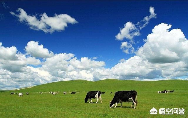 地球臭氧层正在恢复,地球外面的那层臭氧层，现在是破坏了还是没有呢？和大气污染有关系吗？