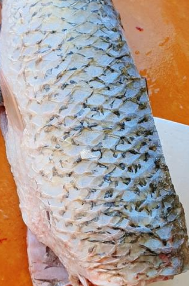 沈阳太二酸菜鱼全关,沈阳太二酸菜鱼按人收费还是按鱼大小收费? 沈阳太二酸菜鱼全关,沈阳太二酸菜鱼按人收费还是按鱼大小收费?