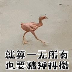 住酒店遭偷拍被威胁,当有一天，你发现你在酒店被偷拍了，你该怎么办？