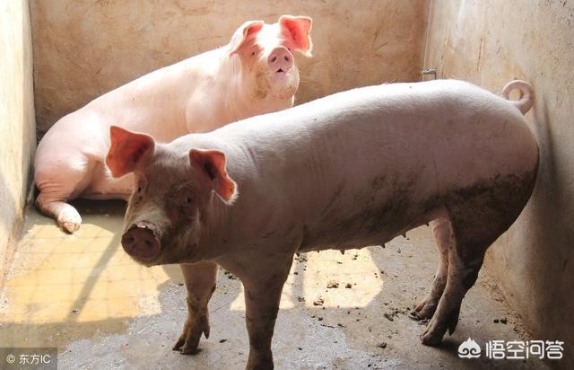 黄金突破3700美元,黄金突破3000美元