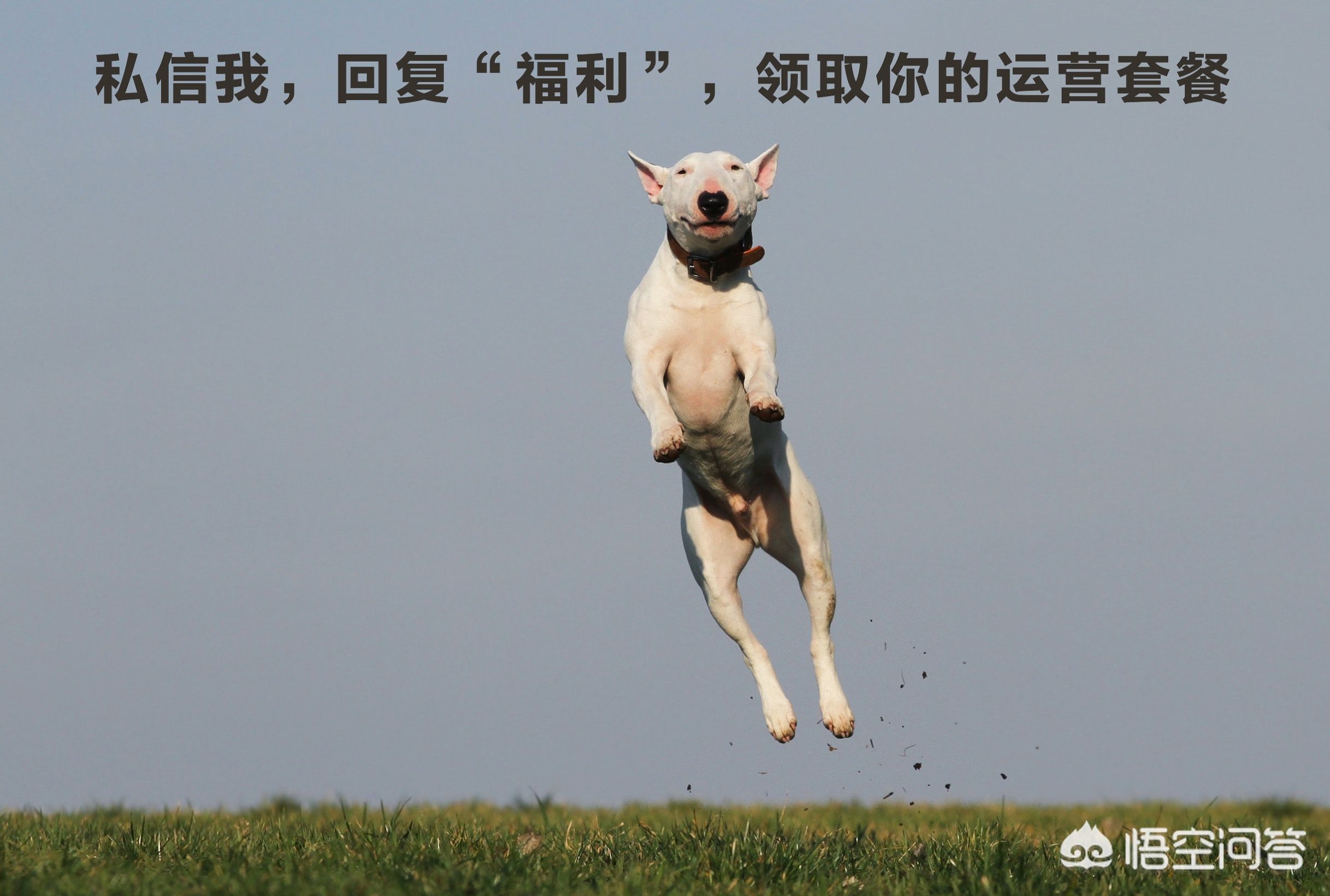 酒店90元涨至1000元,酒店涨价10倍