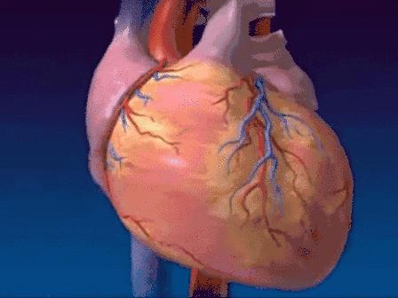 日本民众斥人体实验,731气压实验是什么？