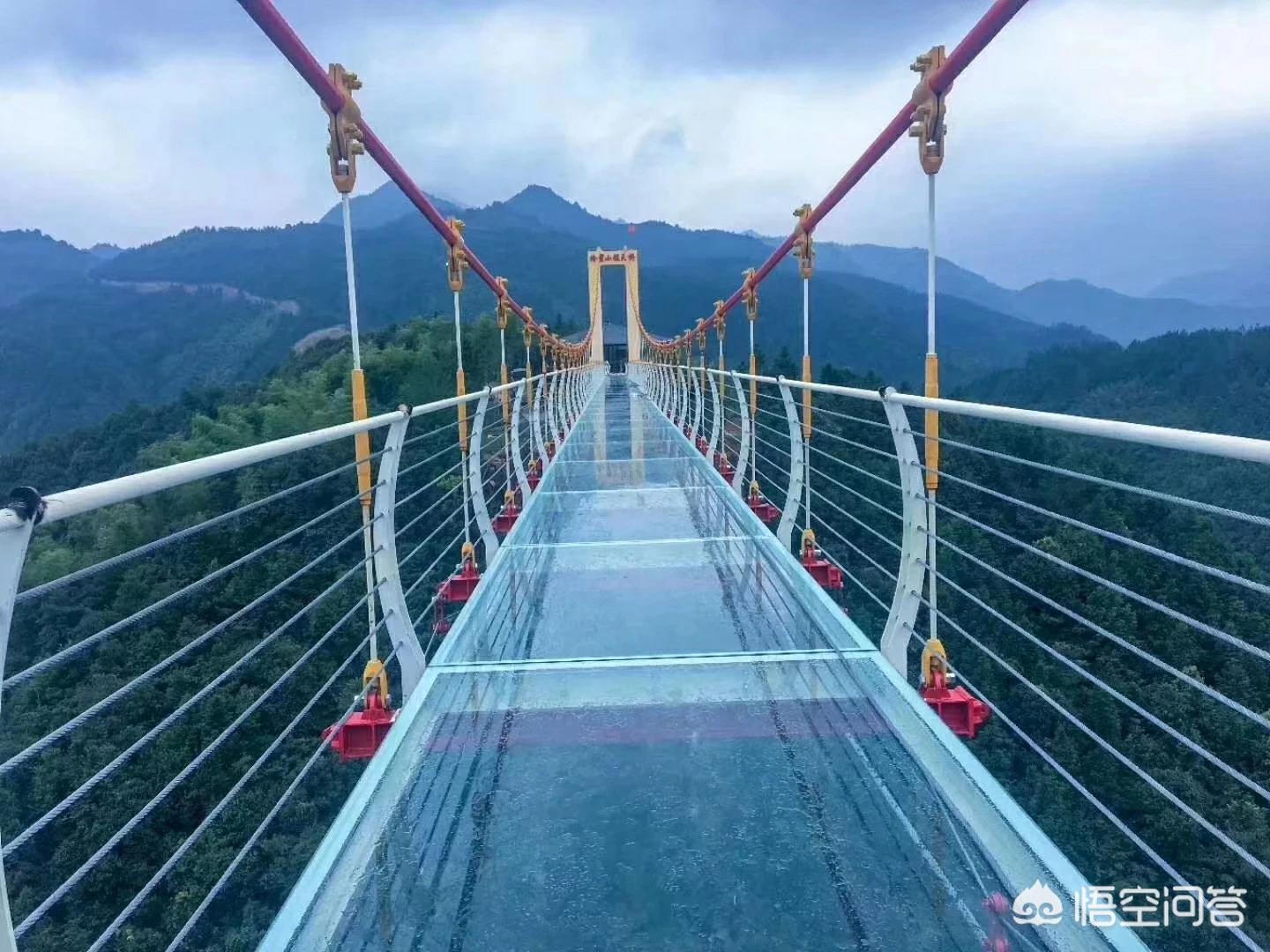 免费拍照取照片20元,去照相馆电子版照片怎么弄出来？