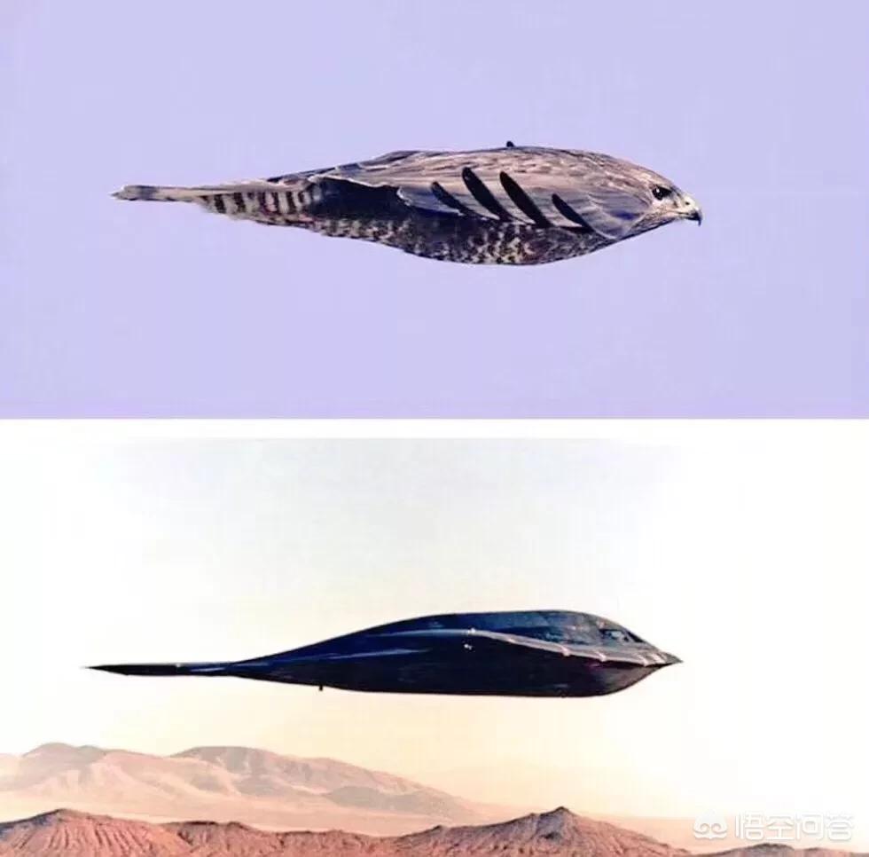 炒币骗局围猎老年人,如何应对“花式骗术”对老人的“围猎”? 炒币骗局围猎老年人,如何应对“花式骗术”对老人的“围猎”?