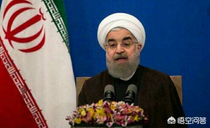 伊朗暂停原子能合作,伊朗称将减少与国际原子能机构合作，主要想表达什么意思？