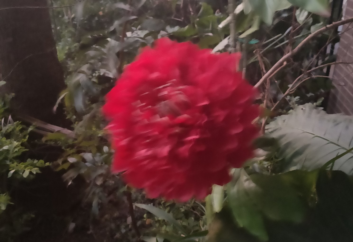 知男友已婚跳江轻生,东莞女子跳江轻生,男子紧跟跳下救人,不料被女子缠住脖子, 你怎么看? 知男友已婚跳江轻生,东莞女子跳江轻生,男子紧跟跳下救人,不料被女子缠住脖子, 你怎么看?