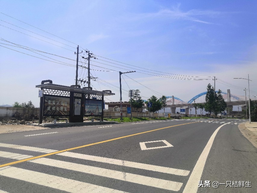 司机拒载老人被开除,公交司机可以拒载无监护人带上车的老人吗？