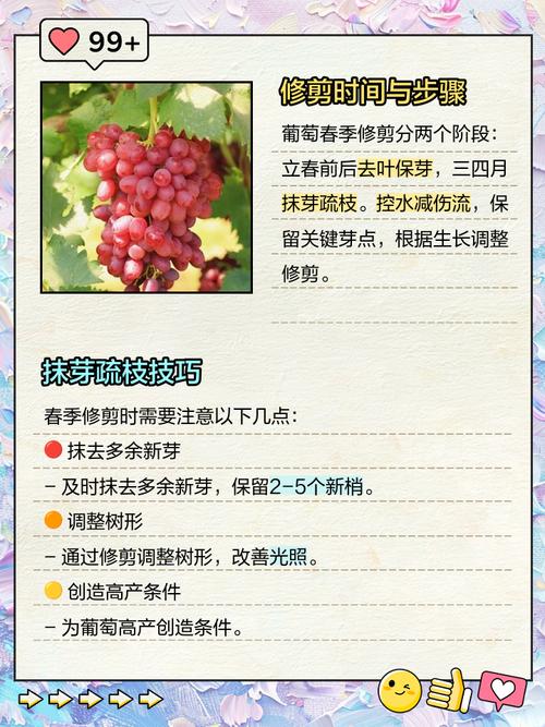 中方回应朝不无核化,春季农村葡萄秧苗的扦插都需要注意哪些问题?对于葡萄品种的选择你又有什么建议?