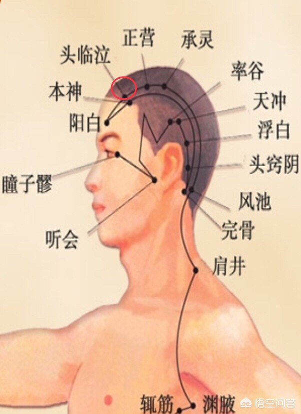 下班高峰提前到中午,为什么晚上困得早白天醒得早？