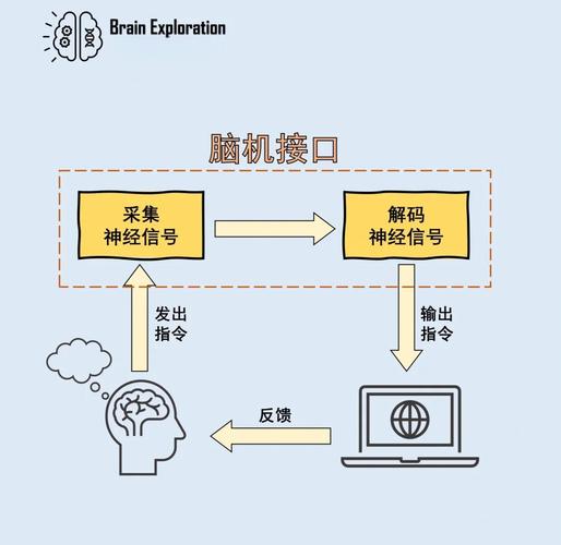 靠脑机接口重新行走,脑机接口不用通过外部设备可以自主行走吗?