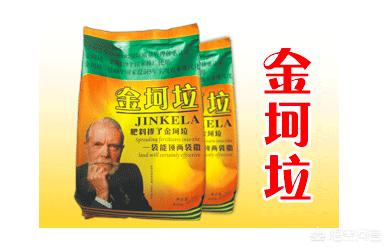 网红罗几车祸遇难,抖音网红罗