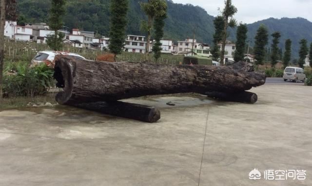 女友去世求带走骨灰,骨灰盒下葬流程及注意事项? 女友去世求带走骨灰,骨灰盒下葬流程及注意事项?