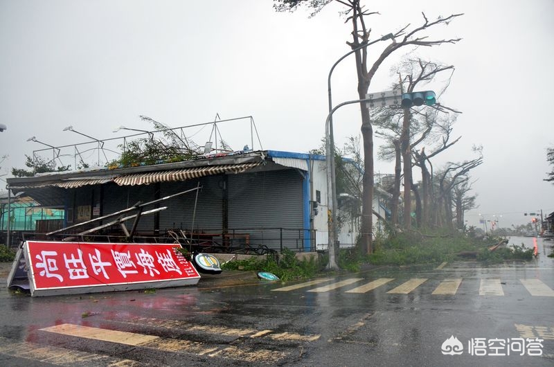 台风过后潜在风险,台风来了，住高层感觉楼体有晃动，有危险吗？