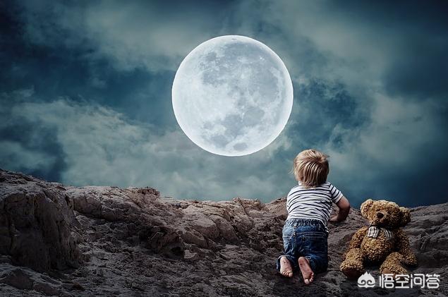 孕妇遭黑熊袭击,家里有个熊孩子经常打孕妇肚子，父母不教育怎么办？