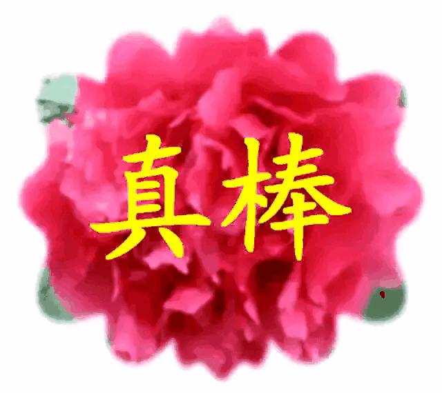 70万救命药进医保,70万一针救命药进医保，你怎么看？