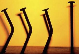 性格好的人脑子好使,一根筋的人性格特点? 性格好的人脑子好使,一根筋的人性格特点?