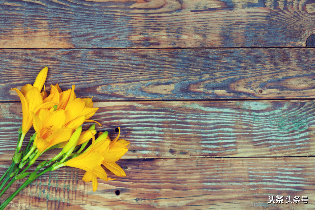 2名失联少女已找到,骨语2失踪女孩曹京曦结局？