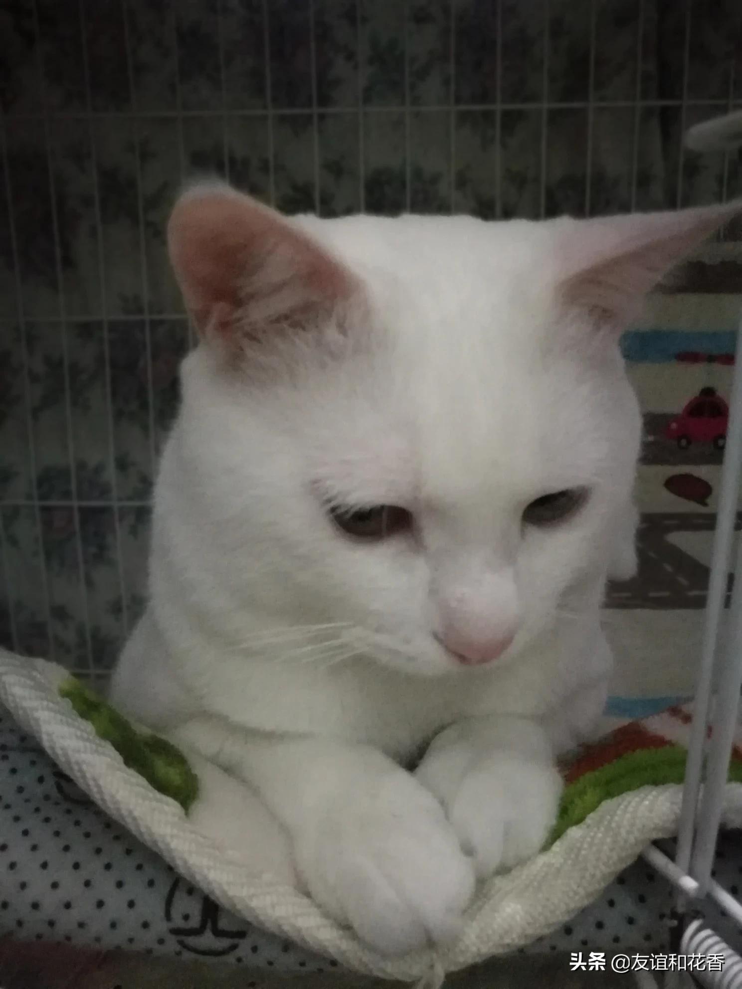 当街打人被飞踹,淮安男子见女伴被球砸中当街飞踹男童,家长:我们有深仇大恨吗, 你怎么看? 当街打人被飞踹,淮安男子见女伴被球砸中当街飞踹男童,家长:我们有深仇大恨吗, 你怎么看?