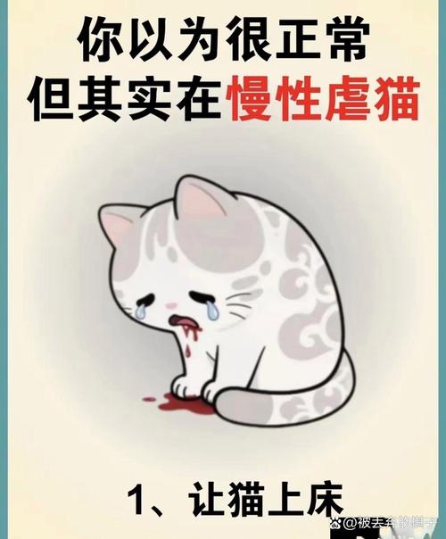 英国猫听不懂中文,英国猫听不懂中文怎么办