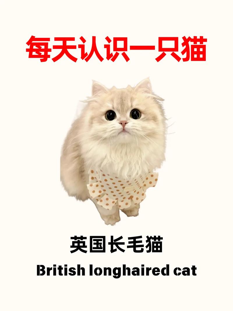英国猫听不懂中文,英国的国猫?
