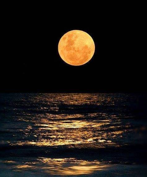 中秋最圆月亮在白天,