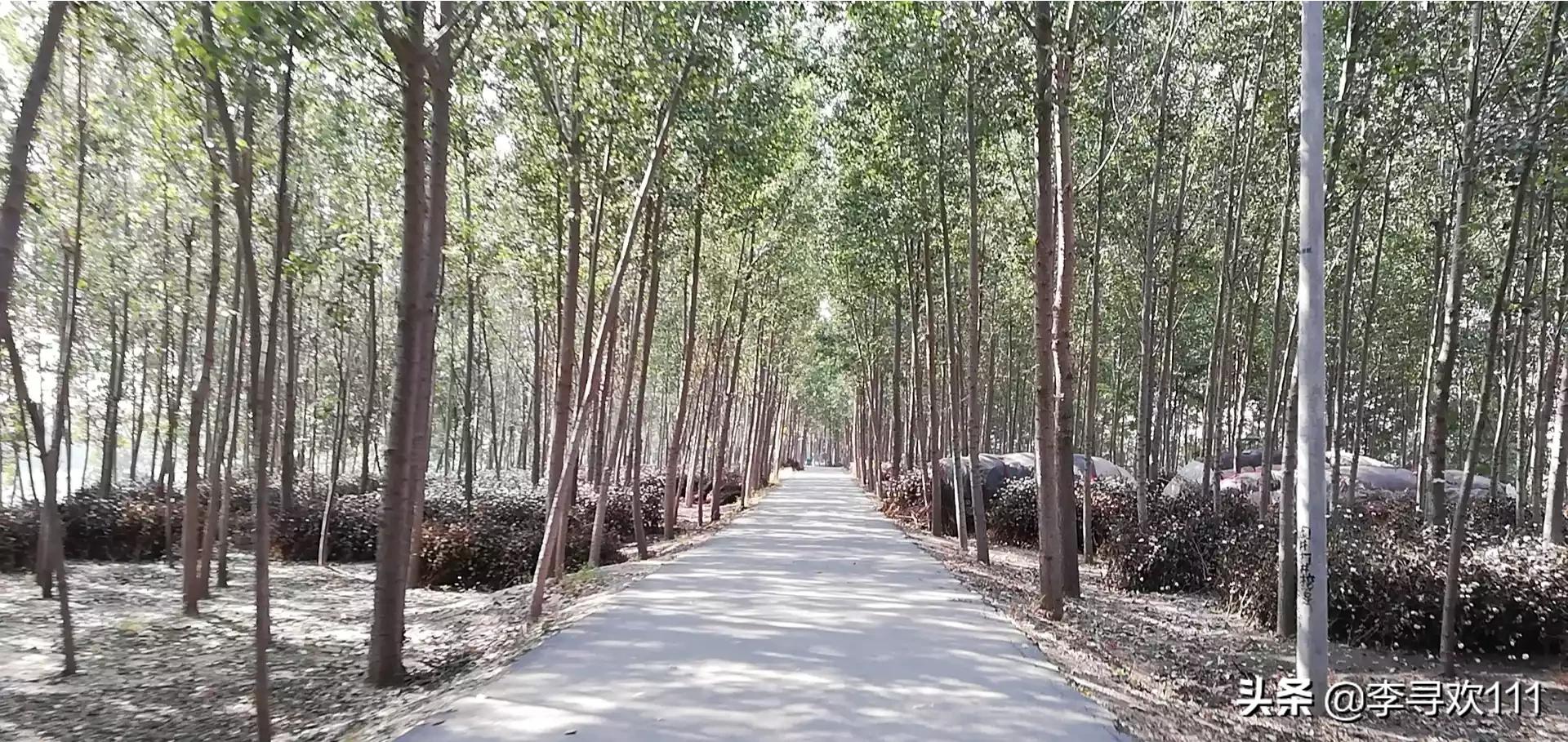 十一假期必看片单,十一放假哪几天是国假？