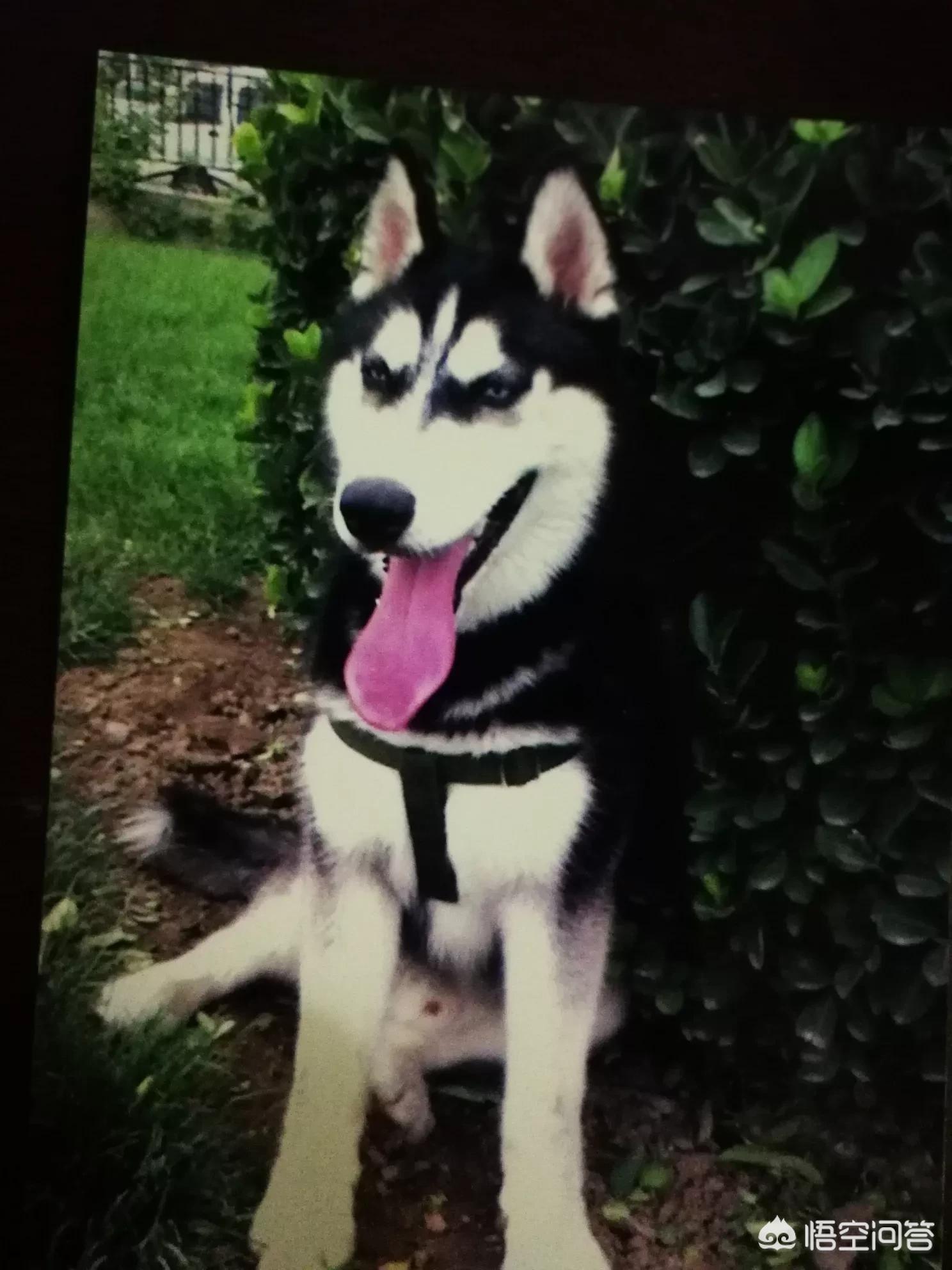 假期汽车托运火了,国庆期间轿车托运有优惠不？